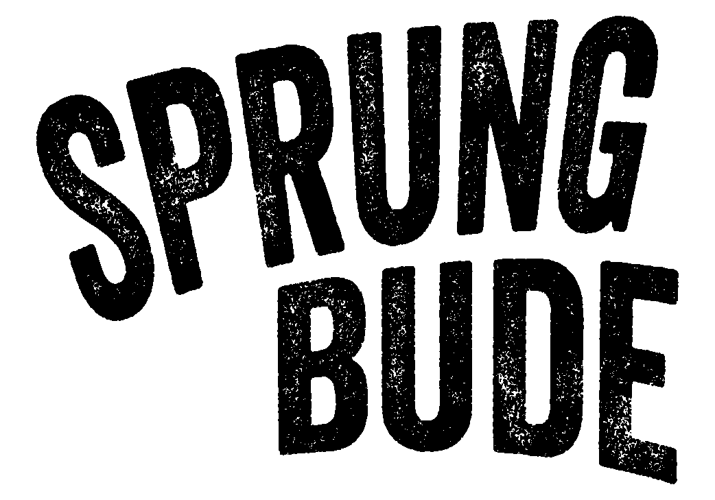 logo sprungbude